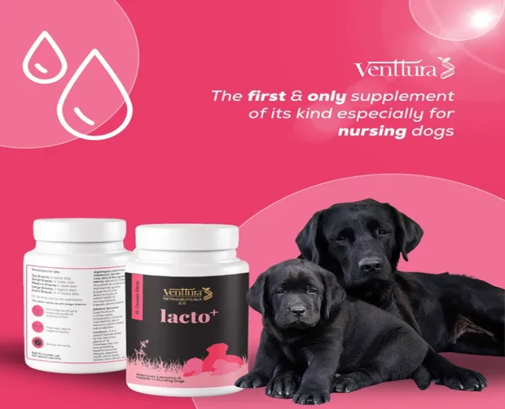 Venttura Lacto Plus Milk Boosters Chewable Tablets for Dogs, 45 Tablets at ithinkpets.com (2)