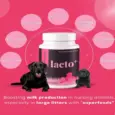 Venttura Lacto Plus Milk Boosters Chewable Tablets for Dogs, 45 Tablets at ithinkpets.com (3)