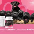 Venttura Lacto Plus Milk Boosters Chewable Tablets for Dogs, 45 Tablets at ithinkpets.com (5)