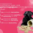 Venttura Lacto Plus Milk Boosters Chewable Tablets for Dogs, 45 Tablets at ithinkpets.com (6)
