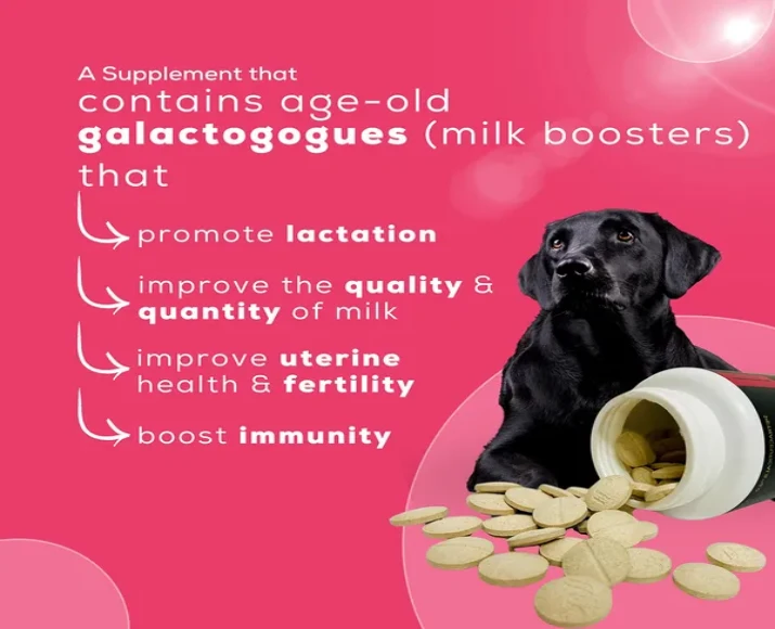 Venttura Lacto Plus Milk Boosters Chewable Tablets for Dogs, 45 Tablets at ithinkpets.com (6)