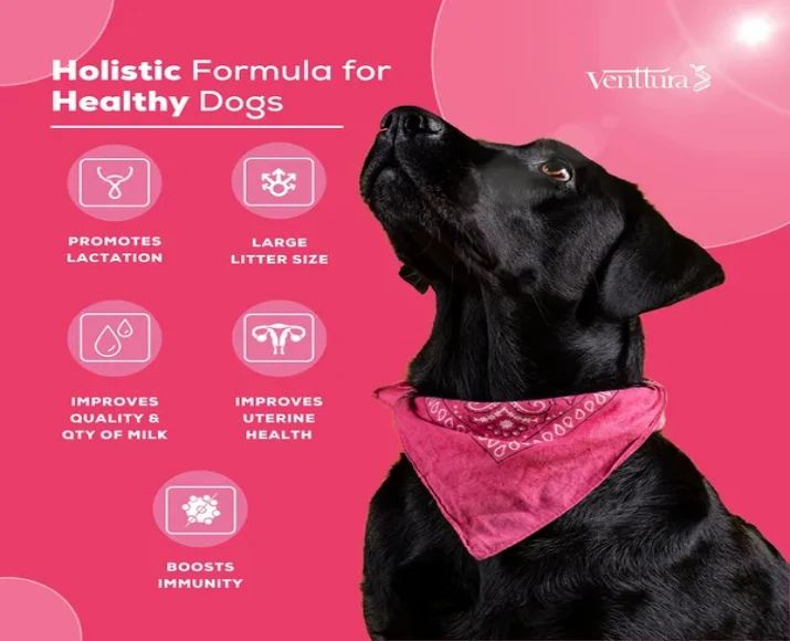Venttura Lacto Plus Milk Boosters Chewable Tablets for Dogs, 45 Tablets at ithinkpets.com (7)