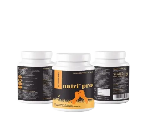 Venttura Nutri Pro Plus Multi Vitamin Chewable Tablets for Dogs, 45 Tablets at ithinkpets.com (1) (1)