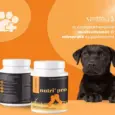 Venttura Nutri Pro Plus Multi Vitamin Chewable Tablets for Dogs, 45 Tablets at ithinkpets.com (2)