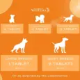 Venttura Nutri Pro Plus Multi Vitamin Chewable Tablets for Dogs, 45 Tablets at ithinkpets.com (3)