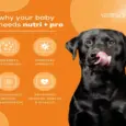 Venttura Nutri Pro Plus Multi Vitamin Chewable Tablets for Dogs, 45 Tablets at ithinkpets.com (4)