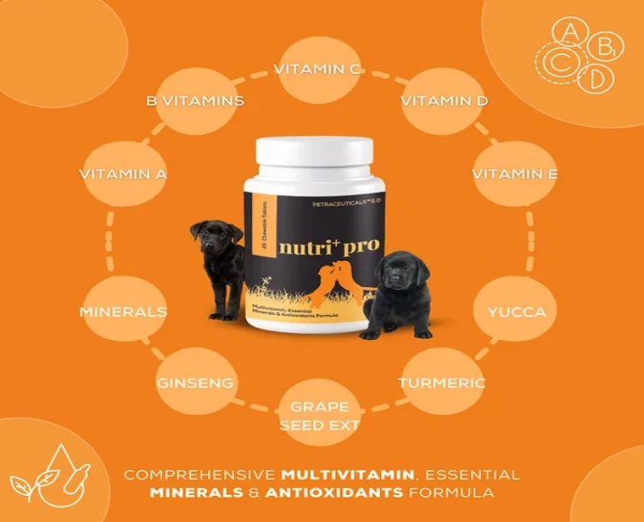 Venttura Nutri Pro Plus Multi Vitamin Chewable Tablets for Dogs, 45 Tablets at ithinkpets.com (5)