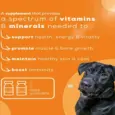 Venttura Nutri Pro Plus Multi Vitamin Chewable Tablets for Dogs, 45 Tablets at ithinkpets.com (7)