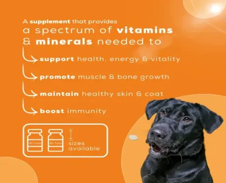 Venttura Nutri Pro Plus Multi Vitamin Chewable Tablets for Dogs, 45 Tablets at ithinkpets.com (7)