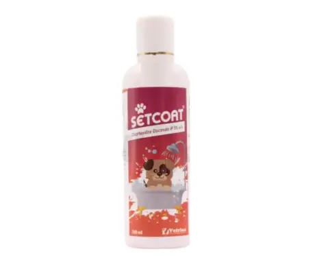 Vetrina Setcoat Shampoo CHG 5 % for Dogs, 200 ML Ithinkpets.com