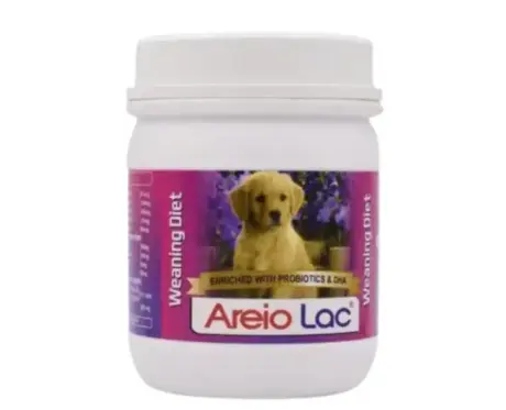 Areion Vet Areio Lac NX Powder for Dogs 500GM digestive supplement Ithinkpets.com