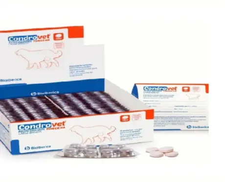 Condrovet for Dogs Complete Joint Care Guide 4