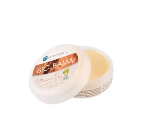 Savavet Dermoscent Bio Balm for Dogs, 50 ML at ithinkpets.com 1