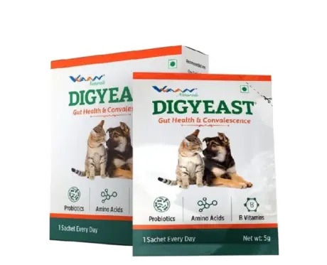 Vvaan Digyeast Pouch for Dogs & Cats, 10 Sachets at ithinkpets.com 1 (1)