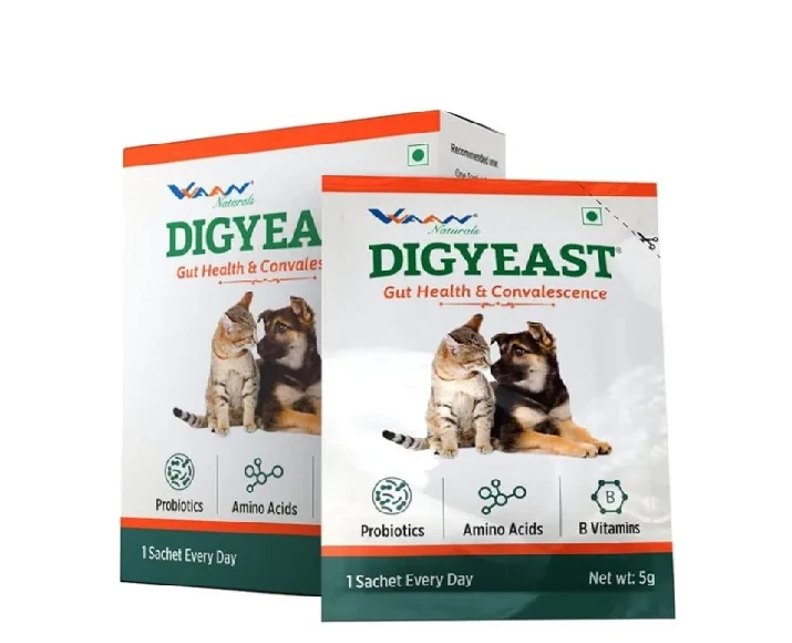 Vvaan Digyeast Pouch for Dogs & Cats, 10 Sachets at ithinkpets.com 1 (1)