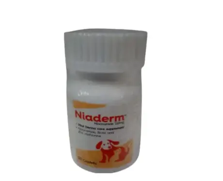 Vvaan Niaderm 250 MG Capsules for Dogs and Cats Skin Care Supplement Ithinkpets.com