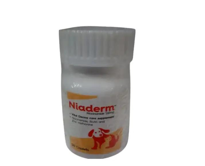 Vvaan Niaderm 250 MG Capsules for Dogs and Cats Skin Care Supplement Ithinkpets.com