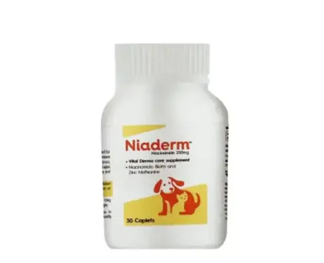 Vvaan Niaderm 500 MG capsules for dogs and cats skin care Ithinkpets.com