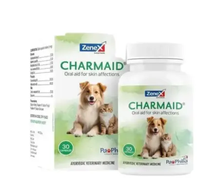 Zenex Charmaid Oral Aid for Skin Infection for Dogs and Cats, 30 Tablets at ithinkpets.com 1