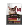 Pro Plan Adult Cat Dry Food, Chicken Flavoured, 6.6 KG at ithinkpets.com 1 (1)