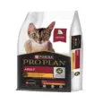 Pro Plan Adult Cat Dry Food, Chicken Flavoured, 6.6 KG at ithinkpets.com 2