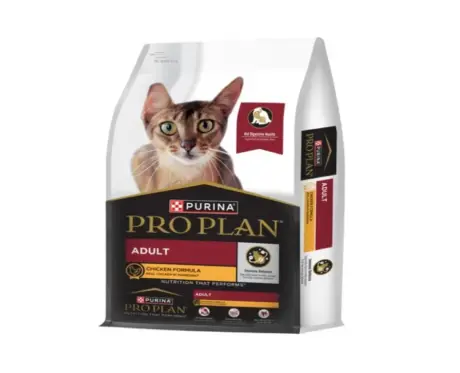 Pro Plan Adult Cat Dry Food, Chicken Flavoured, 6.6 KG at ithinkpets.com 2