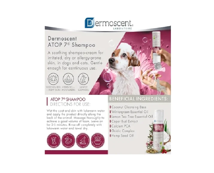 Savavet Dermoscent Atop 7 Shampoo for Dogs & Cats, 200 ML at ithinkpets.com 3 (1)