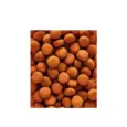 Nutribird H16 balanced daily bird food with fruits and seeds Ithinkpets.com
