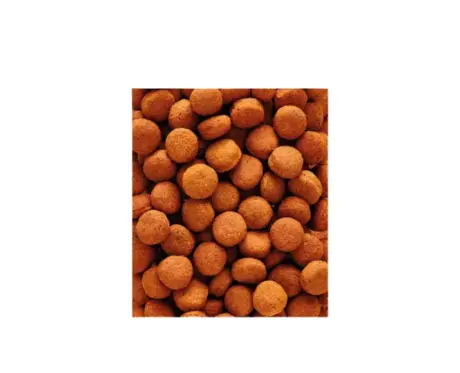 Nutribird H16 balanced daily bird food with fruits and seeds Ithinkpets.com