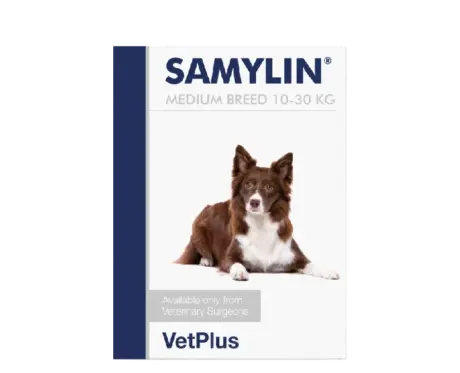 Vetplus Samylin Medium Sachets Nutraceutical Supplement for Dog & Cat, 30 Sachets at ithinkpets.com 1 (1)