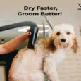 Aeolian Blaster Pro Ametek Single Motor Dryer, TD-901GT-PRO at ithinkpets.com 5