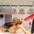 Aeolian Blaster Pro Ametek Single Motor Dryer, TD-901GT-PRO at ithinkpets.com 6