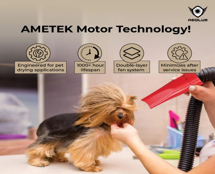 Aeolian Blaster Pro Ametek Single Motor Dryer, TD-901GT-PRO at ithinkpets.com 6
