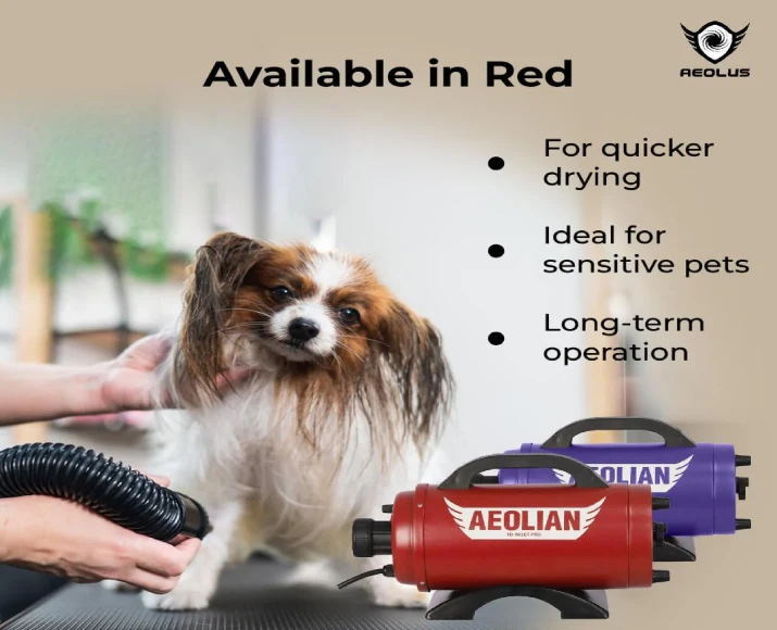 Aeolian Pro Ametek Powered Dryer, Single Motor (TD-901GT-PRO) at ithinkpets.com 4