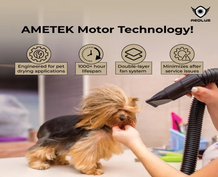 Aeolian Pro Ametek Powered Dryer, Single Motor (TD-901GT-PRO) at ithinkpets.com 6