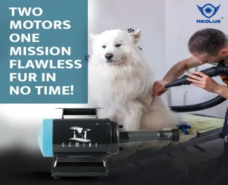 Aeolus Gemini Parallel Double Motor Pet Dryer (TD-900CG) at ithinkpets.com 2