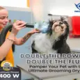 Aeolus Hercules Double Motor Pet Dryer (TD-900XT) at ithinkpets.com 6