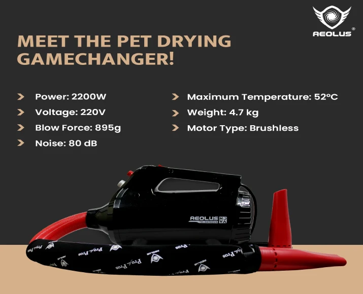Aeolus Nova Brushless Motor Dryer for Pets, Black, (TD-941NOVA) at ithinkpets.com 3
