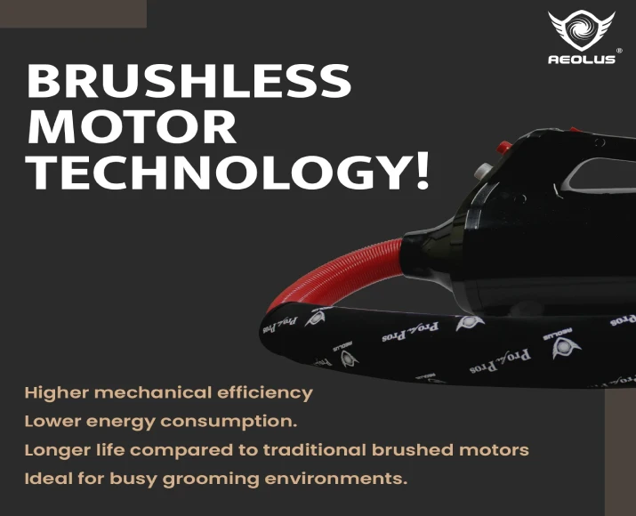 Aeolus Nova Brushless Motor Dryer for Pets, Black, (TD-941NOVA) at ithinkpets.com 4