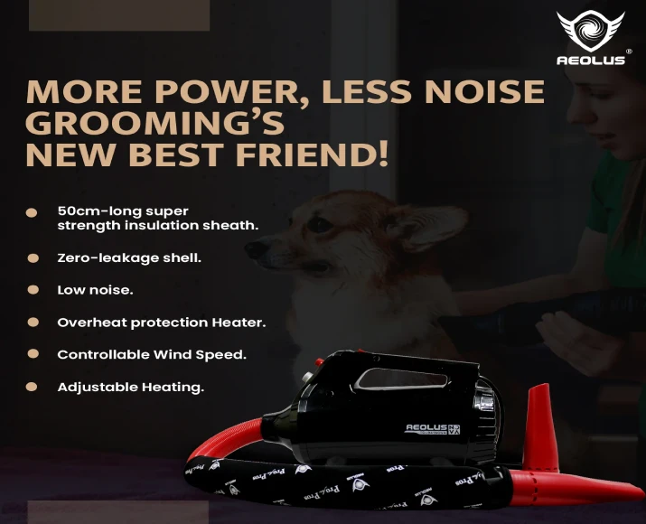 Aeolus Nova Brushless Motor Dryer for Pets, Black, (TD-941NOVA) at ithinkpets.com 5