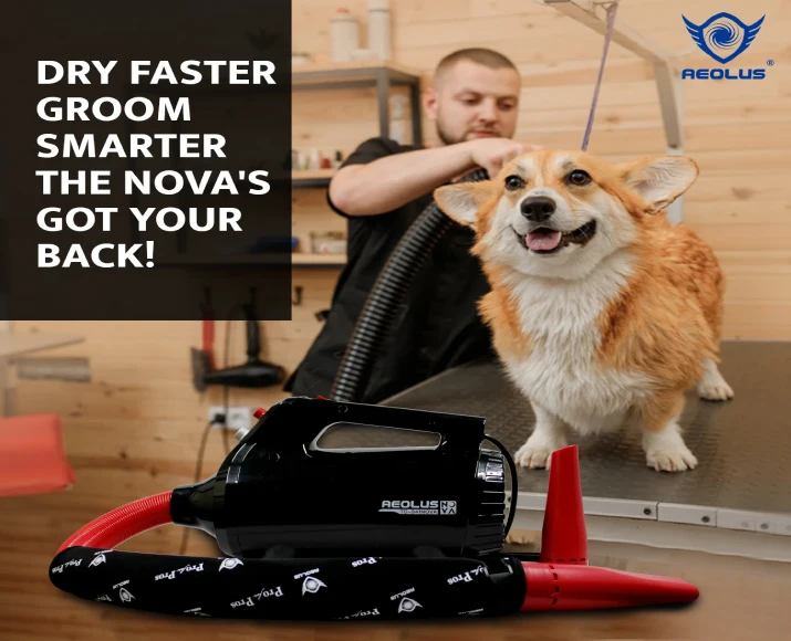 Aeolus Nova Brushless Motor Dryer for Pets, Black, (TD-941NOVA) at ithinkpets.com 6