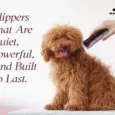 Andis AGC Super 2 Brushless Clipper for Pets at ithinkpets.com 5