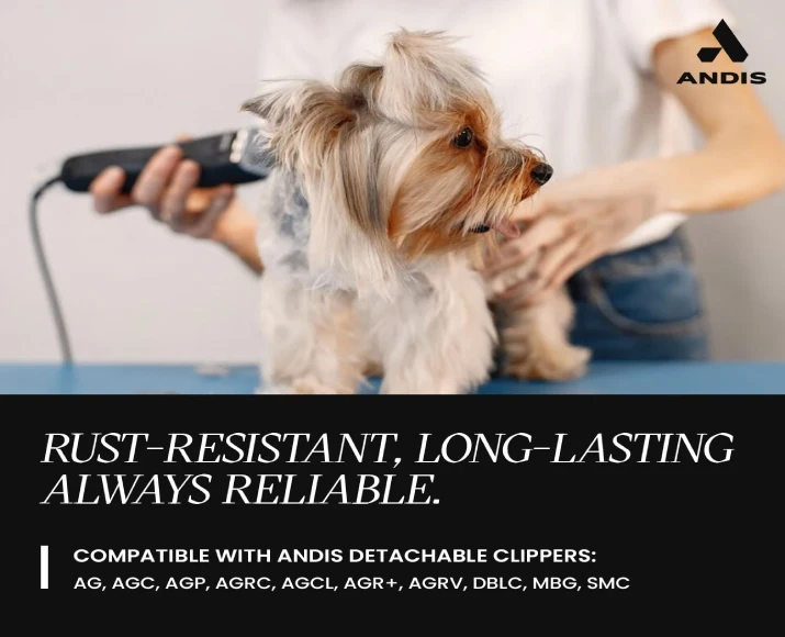 Andis Ceramic Edge Detachable Blade, Size 10 at ithinkpets.com 5