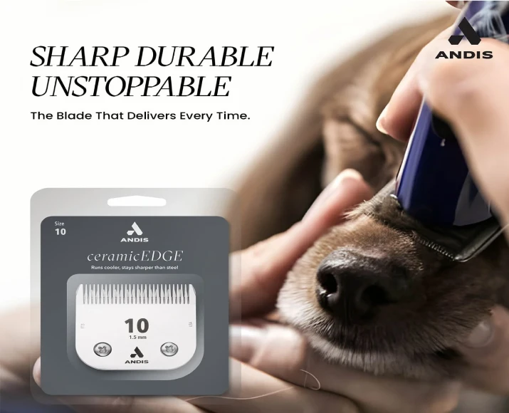 Andis Ceramic Edge Detachable Blade, Size 10 at ithinkpets.com 6
