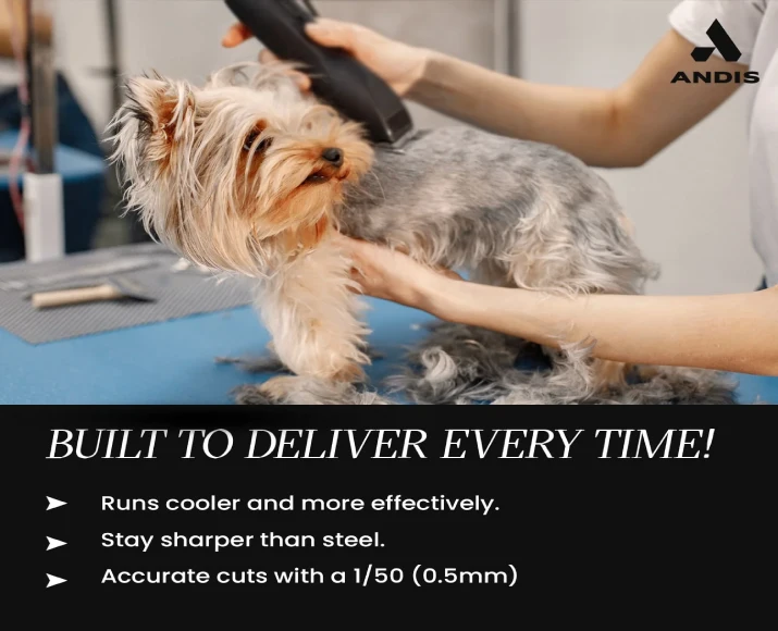 Andis Ultra Edge Detachable Blade, Size 30 at ithinkpets.com 3