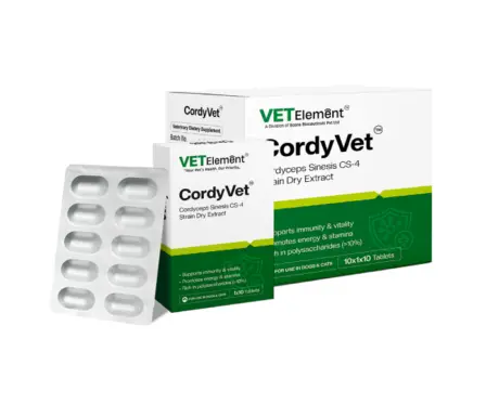 Ecora CordyVet Tablets for Dogs & Cats at ithinkpets.com 1