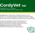 Ecora CordyVet Tablets for Dogs & Cats at ithinkpets.com 2