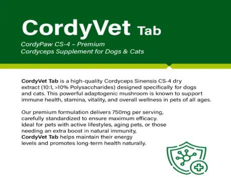 Ecora CordyVet Tablets for Dogs & Cats at ithinkpets.com 2