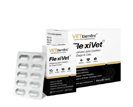 Ecora Flexivet Tablets, Advanced Joint comfort Tablets, 10 Tablets at ithinkpets.com 1 (1)