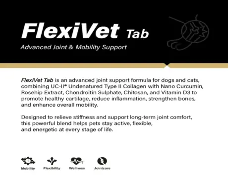 Ecora Flexivet Tablets, Advanced Joint comfort Tablets, 10 Tablets at ithinkpets.com 2